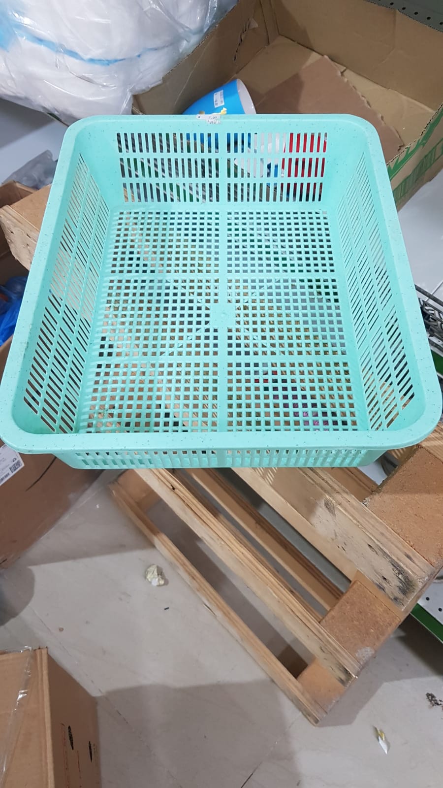 plastic tray vegetable